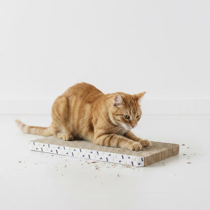Griffoir chat carton - Scratchy