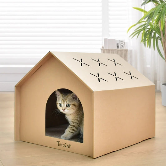 Griffoir en carton pour chat en forme de maison avec un chaton curieux à l'entrée