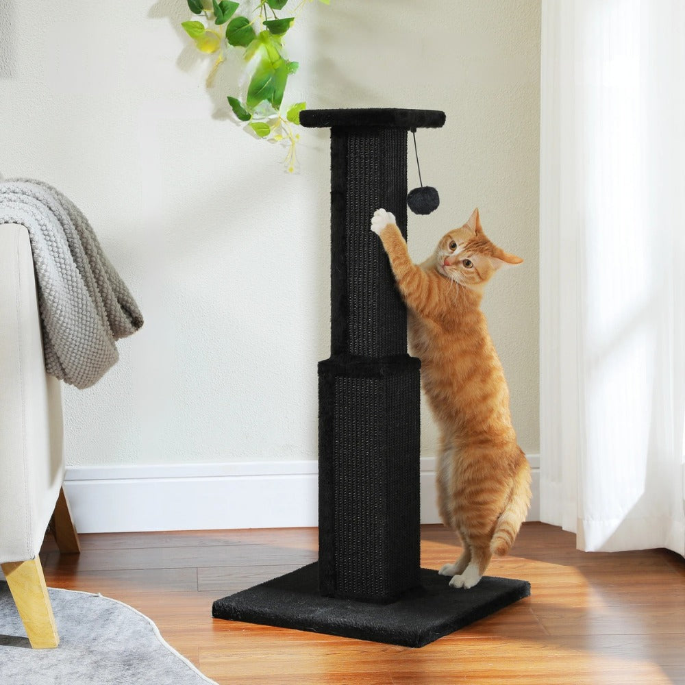 griffoir chat en sisal tressé noir 81 cm grand poteau pour chat avec jouet