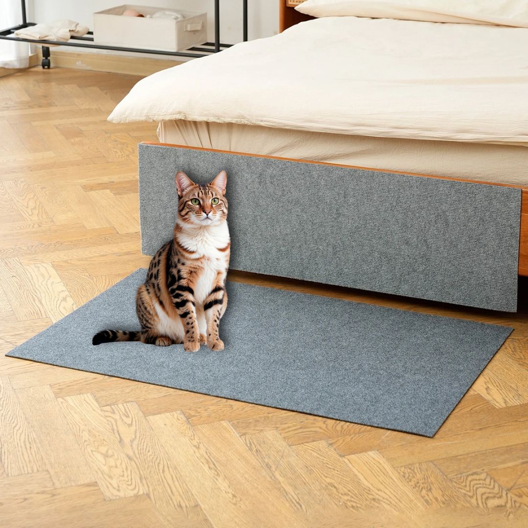 Griffoir chat CatScratch coller protéger  lit chambre tapis adhésif