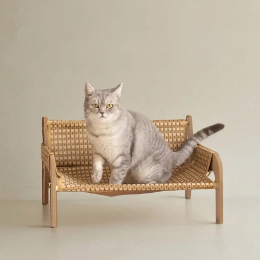 Griffoir pour chat design - Sofa