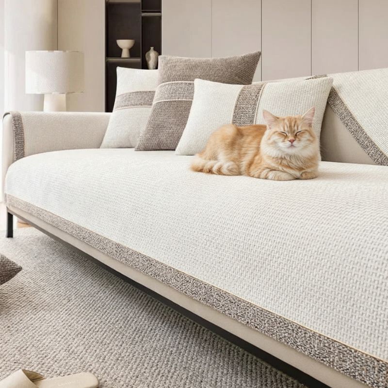 housse canapé anti griffure chat beige clair sur canapé texture avec chat et coussins
