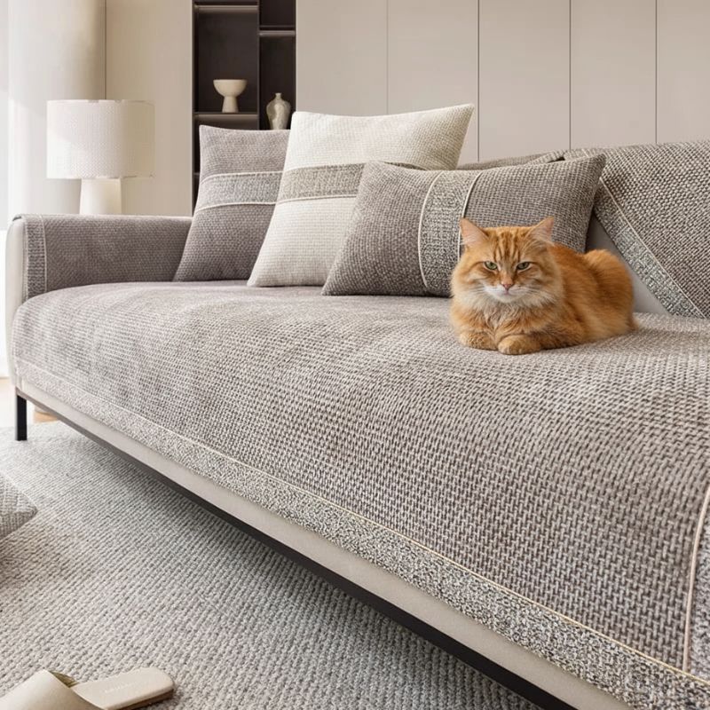 housse canapé anti griffure chat sur canapé gris avec chat protection des griffes et anti-poils