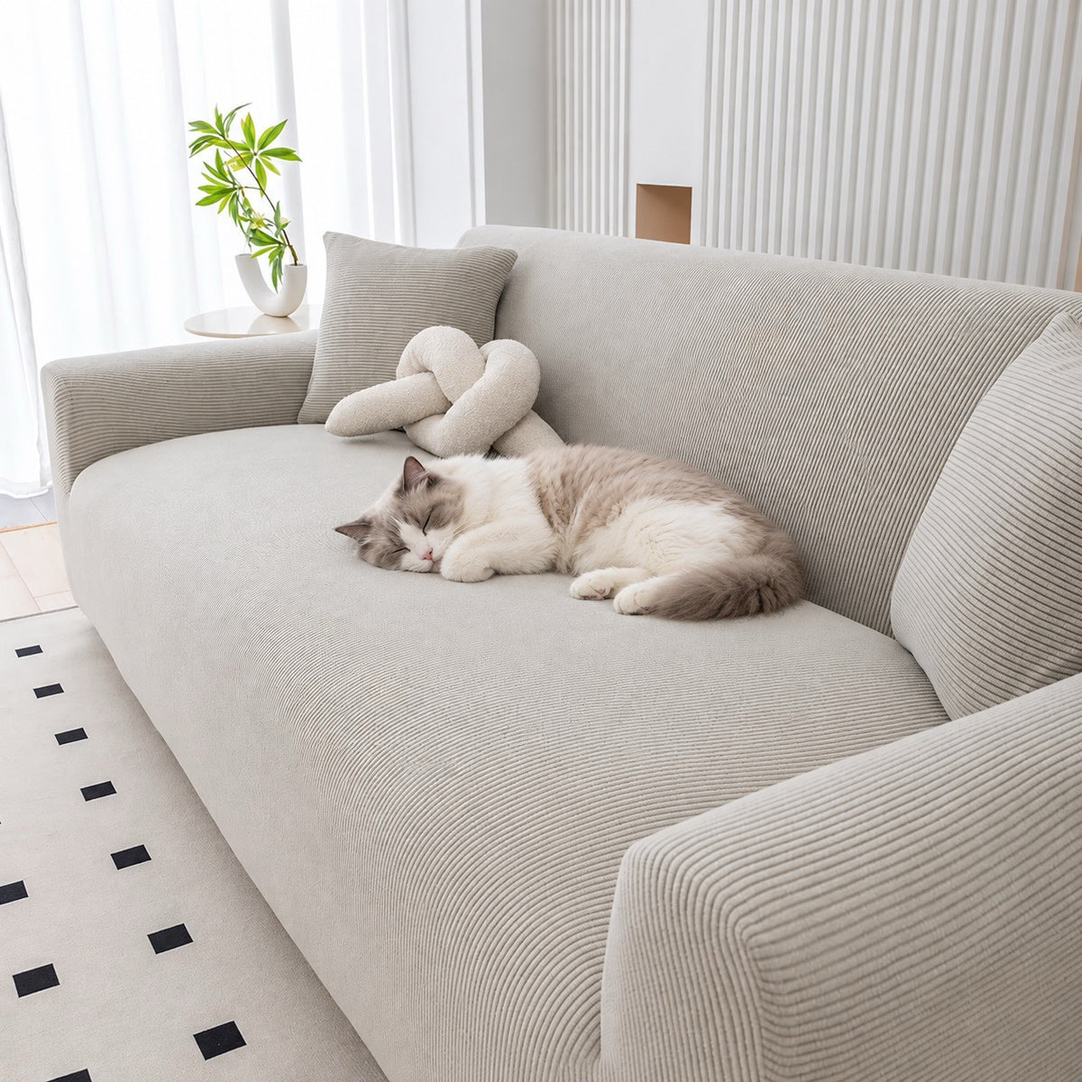 Housse de canapé chat extensible velours – Côtelia