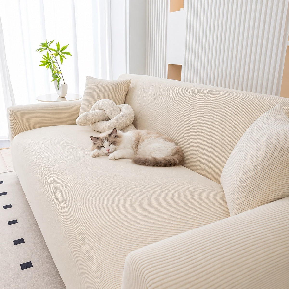 Housse de canapé chat extensible velours – Côtelia