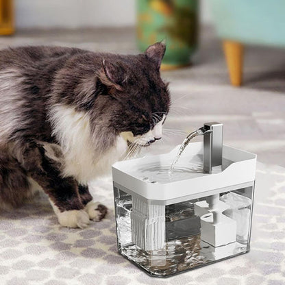fontaine eau chat l'hydratation idéale pour votre félin chat gris et blanc buvant à une fontaine transparente avec pompe et filtre sur un tapis