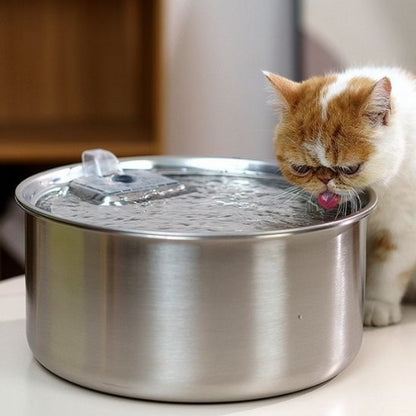 Fontaine à eau chat,  un chat boit de la fontaine, imitant le flux d'un robinet pour inciter à l'hydratation.