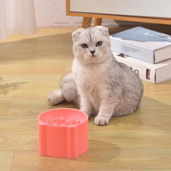 Chat assis près d'une Gamelle anti glouton chat ergonomique conçue pour ralentir l'alimentation et améliorer la digestion, sur un sol intérieur.