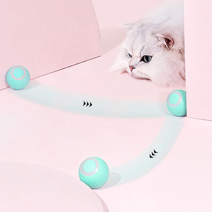 Jouet chat interactif balle rotation 360 auto direction obstacle