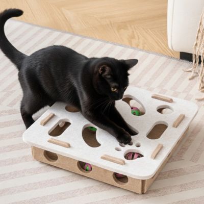 Jouet Interactif pour Chat- Puzzle