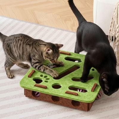 Jouet Interactif pour Chat- Puzzle