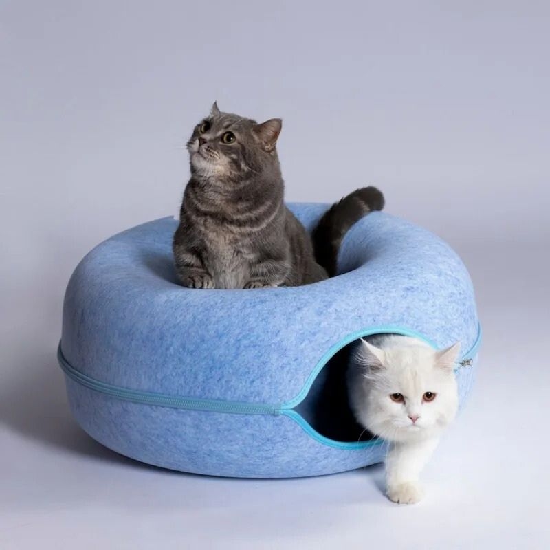 Deux chats se reposent sur un Lit Tunnel pour Chat bleu, offrant confort et sécurité pour apaiser l'anxiété et stimuler le jeu.