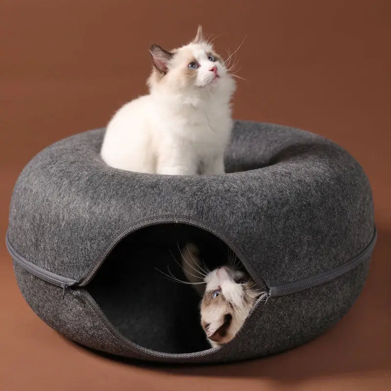 Chat aux yeux bleus assis dans le Lit Tunnel pour Chat, un espace en feutre gris, offrant confort et sécurité pour le repos et le jeu.