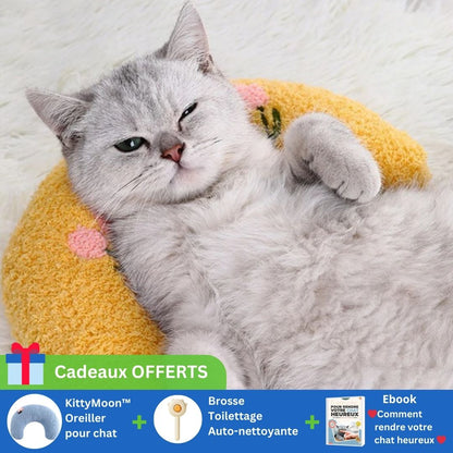 Coussin pour chat | KittyMoon™