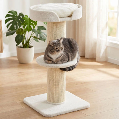 Petit arbre a chat blanc avec deux niveaux de repos pour chat d'intérieur