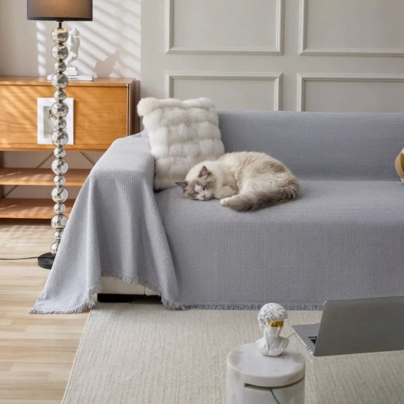 Plaid protection canapé chat - ProCat