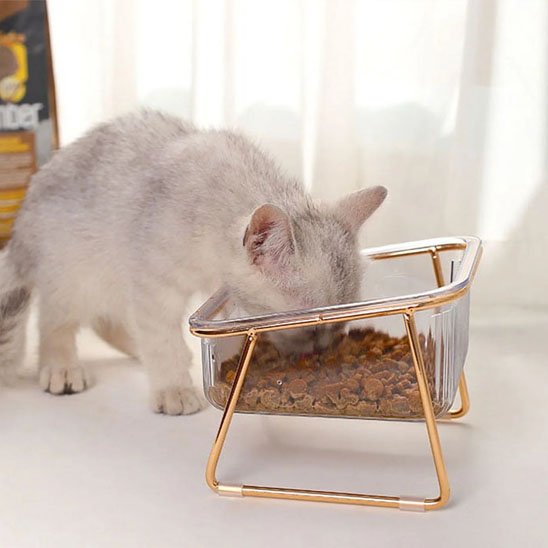 gamelle chat design premium surélevée lux petit chat gris mange des croquettes dans un bol transparent sur un support doré élégant qui favorise la digestion