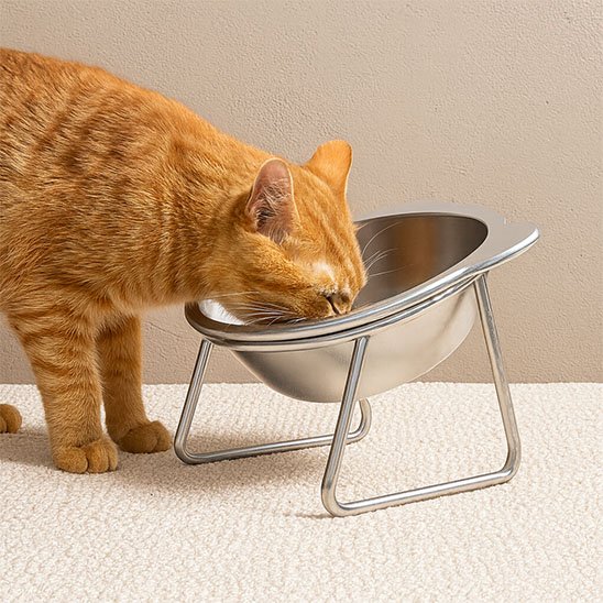 gamelle pour chat surélevée inox avec un chat roux mangeant dans un bol en acier inoxydable sur support incliné