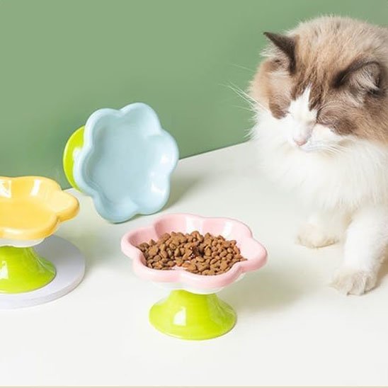 gamelle chat céramique fleur chat assis à côté de trois bols surélevés en forme de fleur l'un rempli de croquettes