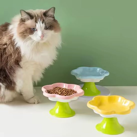 gamelle chat céramique fleur trois bols surélevés en forme de fleur un rempli de croquettes et chat 