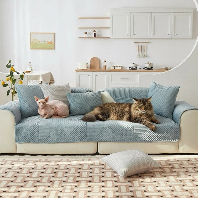 rotection canapé chat en velours cristal bleu clair anti griffe avec deux chats sphynx main coon détendus sur le sofa