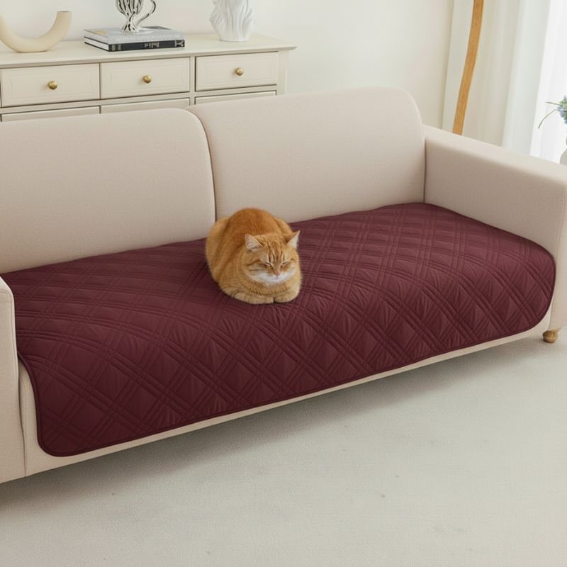 protection canapé chat plaid matelassé bordeau sur canapé avec chat roux