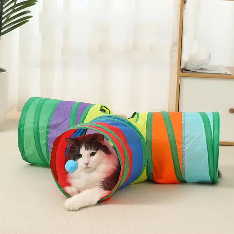 tunnel chat avec balle jouet et chat allongé qui joue