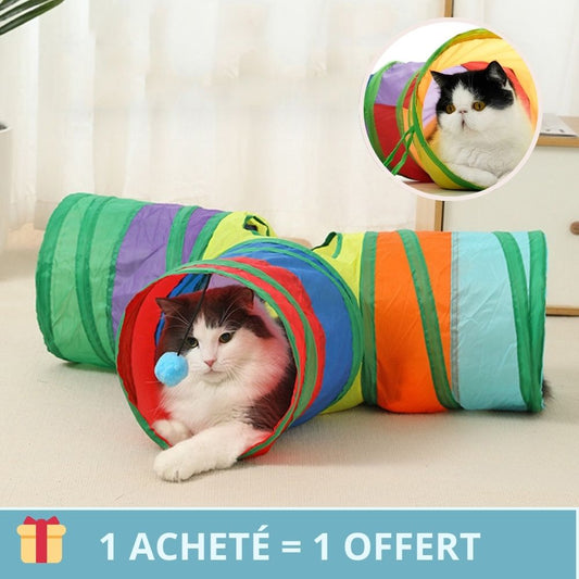 tunnel-pour-chat-cat